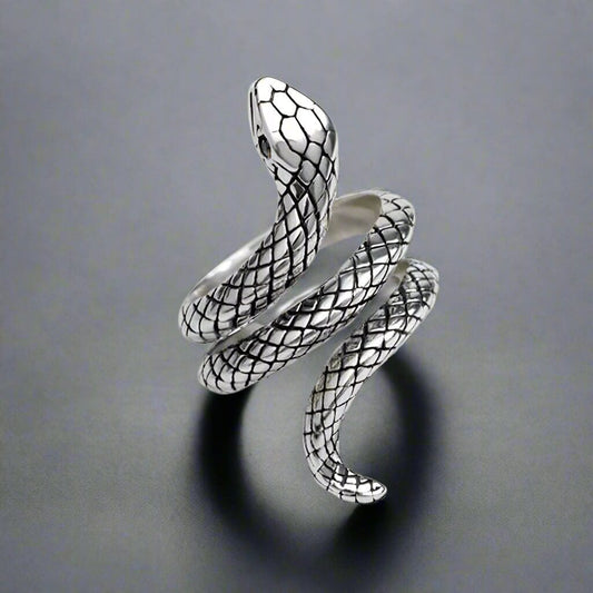 SERPENTINE Titanium Steel Ring for Men and Boys (Size-21) - THE MEN THING