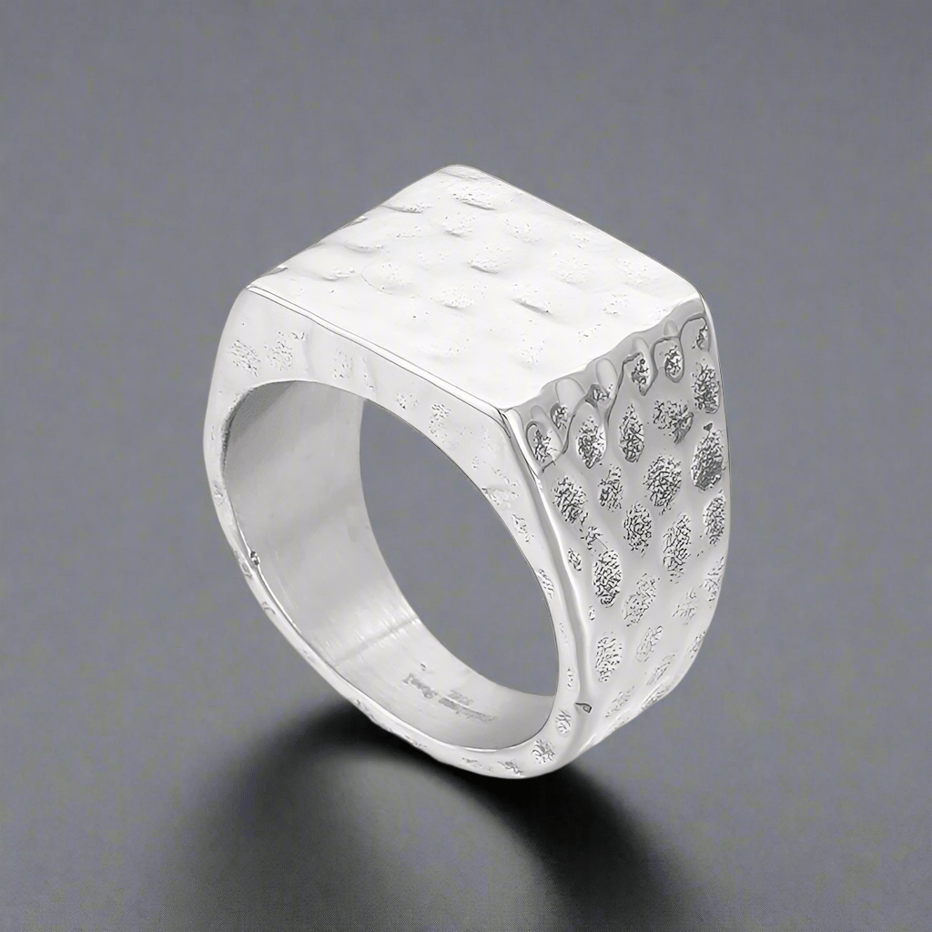 BATTLEBORN SILVER HAMMERED RING - Silver Steel Ring - Pure Titanium Steel Ring for Men Size - 21 - THE MEN THING