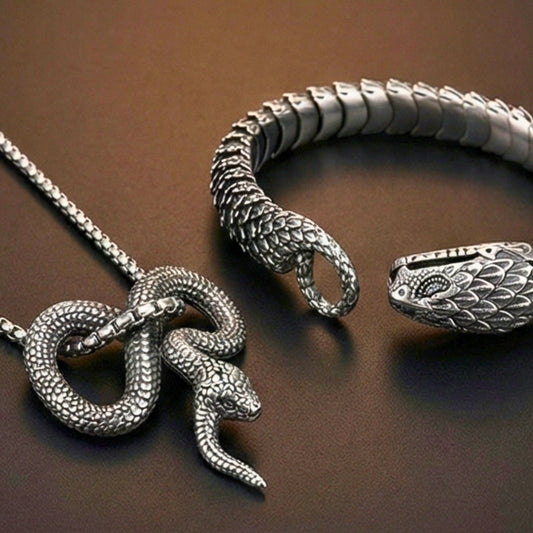 COMBO — Furious Infinity Snake Pendant + Serpent Titanium Steel Bracelet - THE MEN THING
