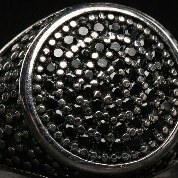 NOIR CREST RING - Pure Stainless Steel Men’s Steel Plated Ring (Size : 21-26)
