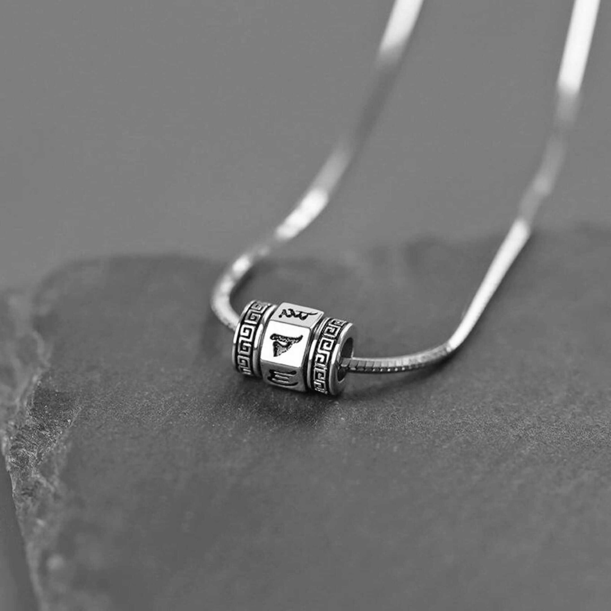 ZODIAC ROTATING - 11mm Pure Titanium Steel Pendant with 19inch Snake 3mm Chain for Men & Boys — SS Pendant/ Necklace for Men | THE MEN THING