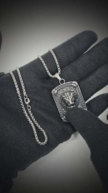 LEONIS GUARD - 31mm Titanium Steel Pendant with 24inch Round Box 5mm Chain for Men & Boys