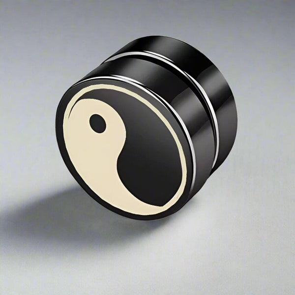 హార్మోనిక్స్ - పురుషులు & అబ్బాయిల కోసం మాగ్నెటిక్ నాన్-పియర్సింగ్ ప్యూర్ టైటానియం స్టీల్ స్టుడ్స్ చెవిపోగులు