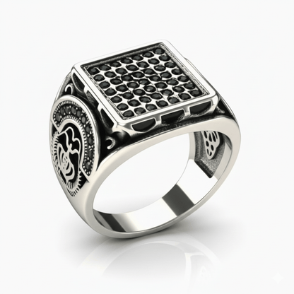 THE MEN THING Rings Royal Series - DARK REGENT RING - Pure Stainless Steel Men’s Steel-Plated Ring – Statement Luxury Jewelry (Size : 17-20-22-25-27)