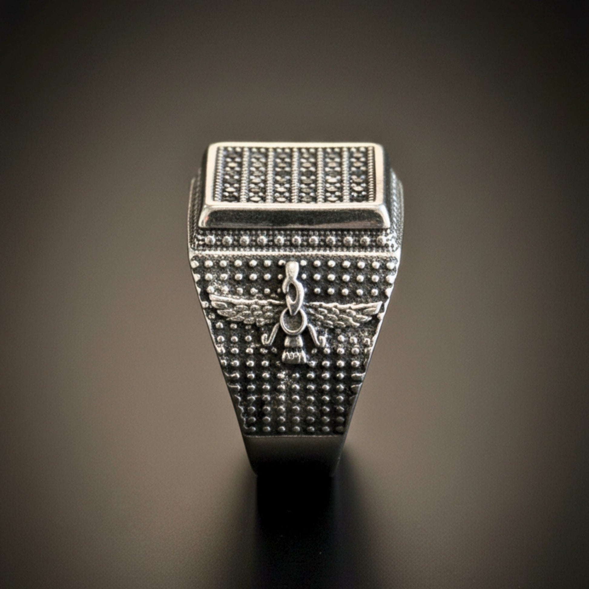 THE MEN THING Rings Royal Series - REGAL GUARDIAN RING - Pure Stainless Steel Men’s Silver-Plated Ring – Statement Luxury Jewelry (Size : 16-17-21-23-24-26)