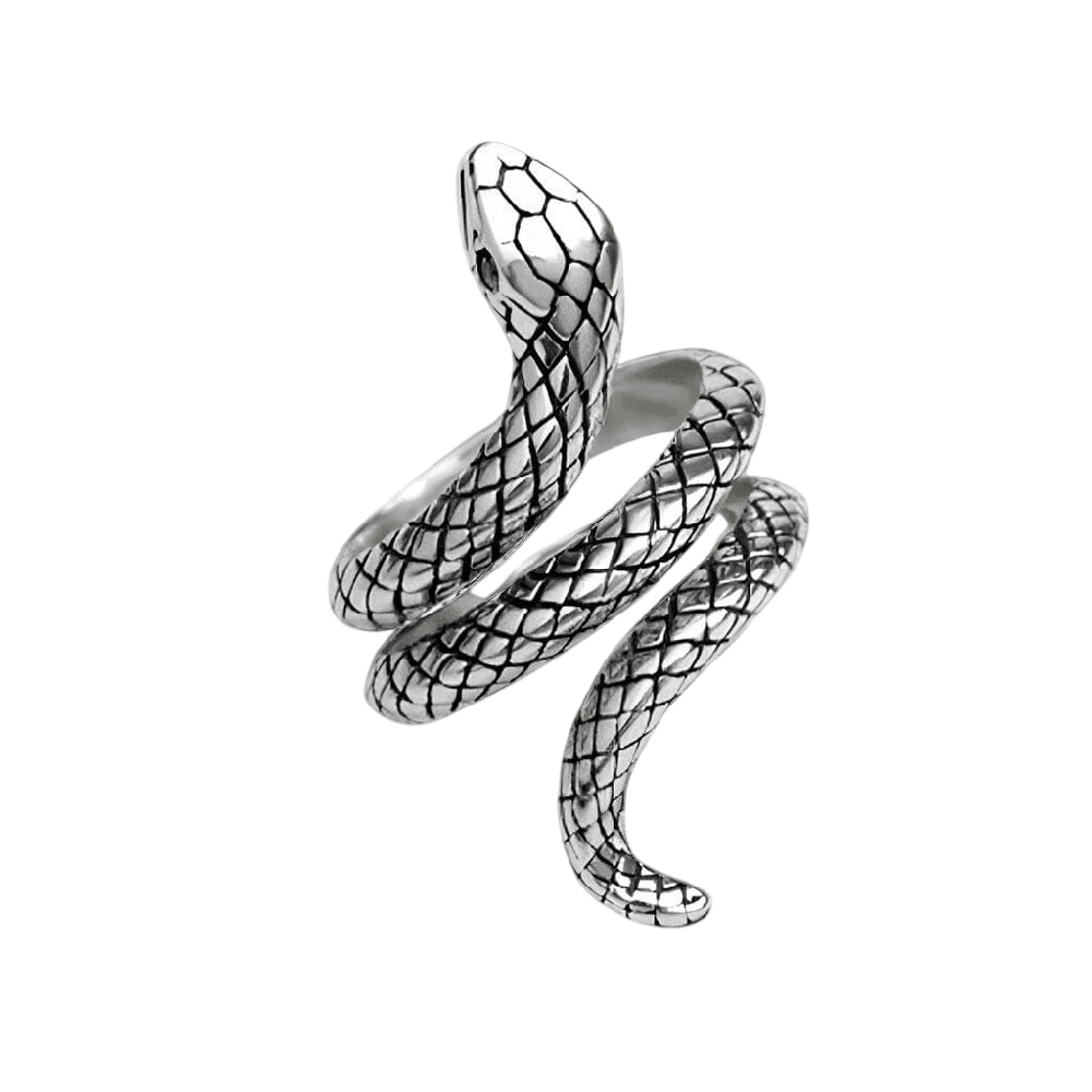 THE MEN THING Rings SERPENTINE  Titanium Steel Ring for Men and Boys (Size-21)