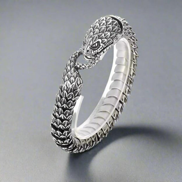 COMBO — Furious Infinity Snake Pendant + Serpent Titanium Steel Bracelet