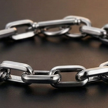 THE MEN THING Steel Bracelets REGENT ELITE - Pure Titanium Steel Bracelet for Men & Boys (8inch)